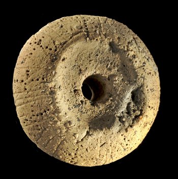 Abbildung 2: Der Spinnwirtel. © Landesamt für Denkmalpflege und Archäologie Sachsen-Anhalt, Andres Hörentrup. 