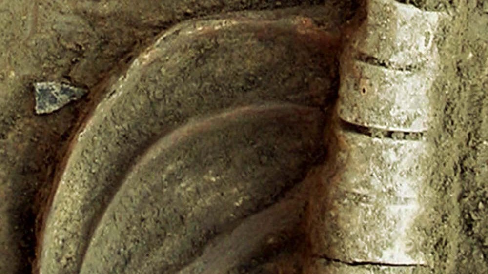 Abbildung 5: Pfeilspitze aus Feuerstein im Brustbereich des zweiten Individuums. © Landesamt für Denkmalpflege und Archäologie Sachsen-Anhalt.